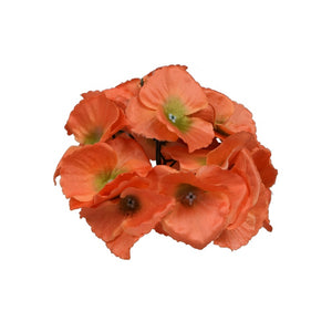 Oranž