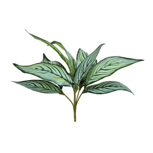 Roheline