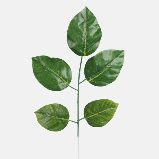 Pärnaoksa kunsttaim roheline 55 cm - Kunstlilled