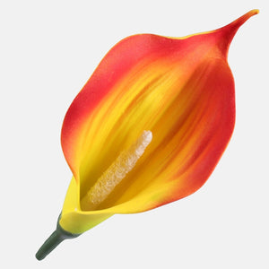 Oranž/kollane