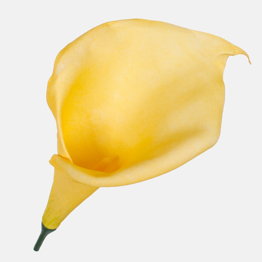 Kalla kunstlillepea kollane 19 cm - Kunstlilled