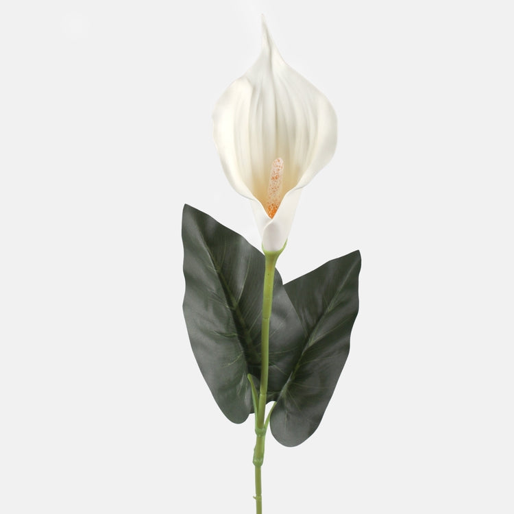 Kreemjas kalla kunstlill 65 cm - Kunstlilled