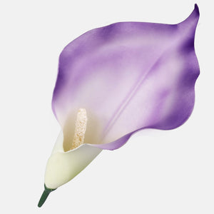 Lilla