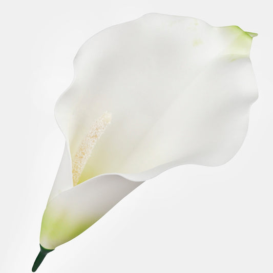 Kreemjas kalla kunstlillepea 20 cm - Kunstlilled