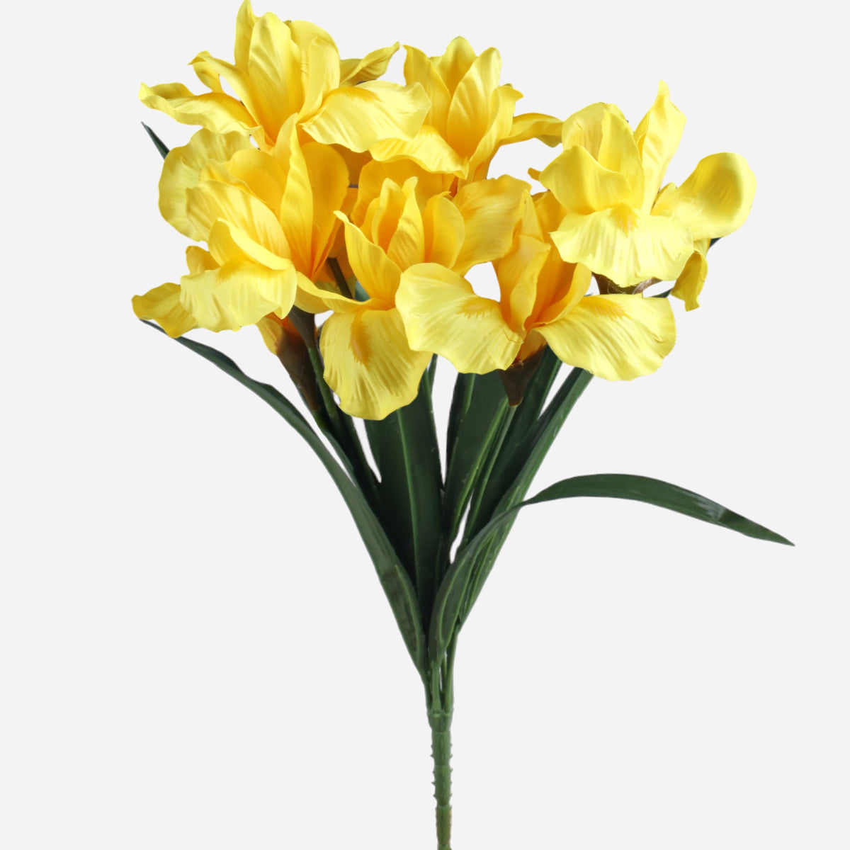 Keltainen iiris – pääsiäiskoriste, 50 cm