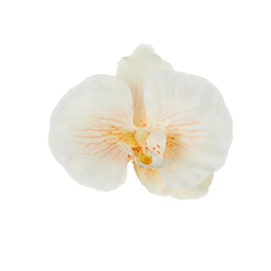 Kerma/Oranssi