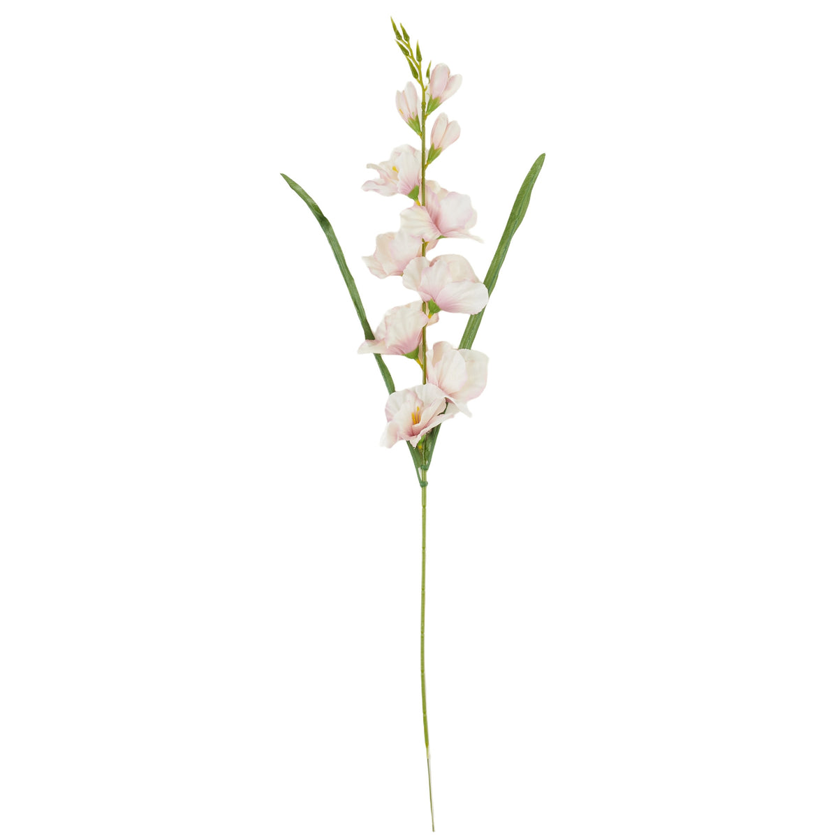 Kerma vaaleanpunainen gladiolus – tekokukka
