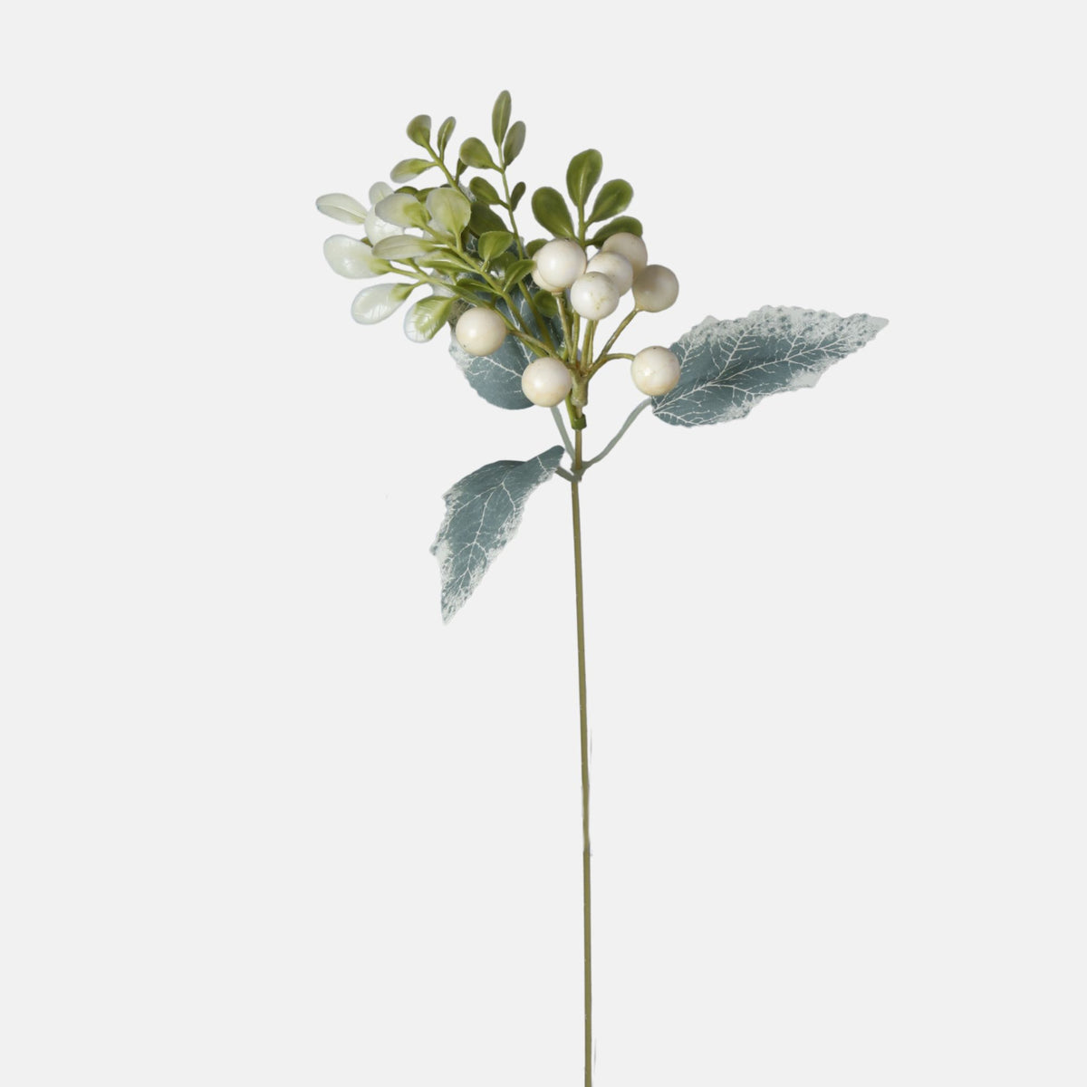Kermanvärinen puksipensas – koristeoksa, 40 cm
