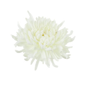 Kerma