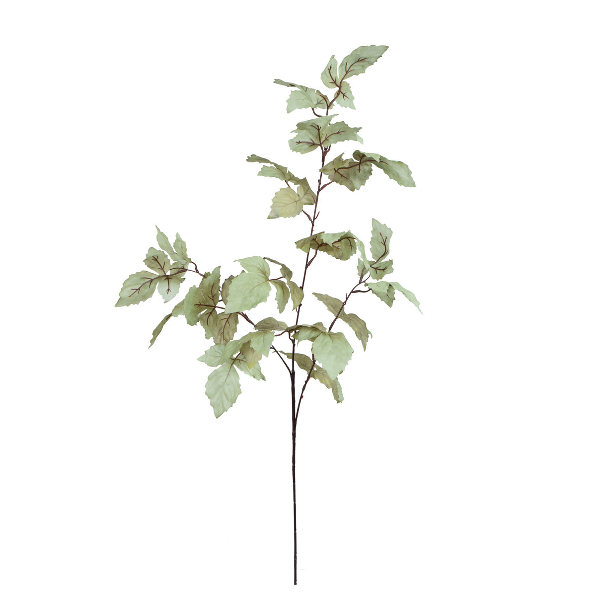 Koristeoksa, 100 cm