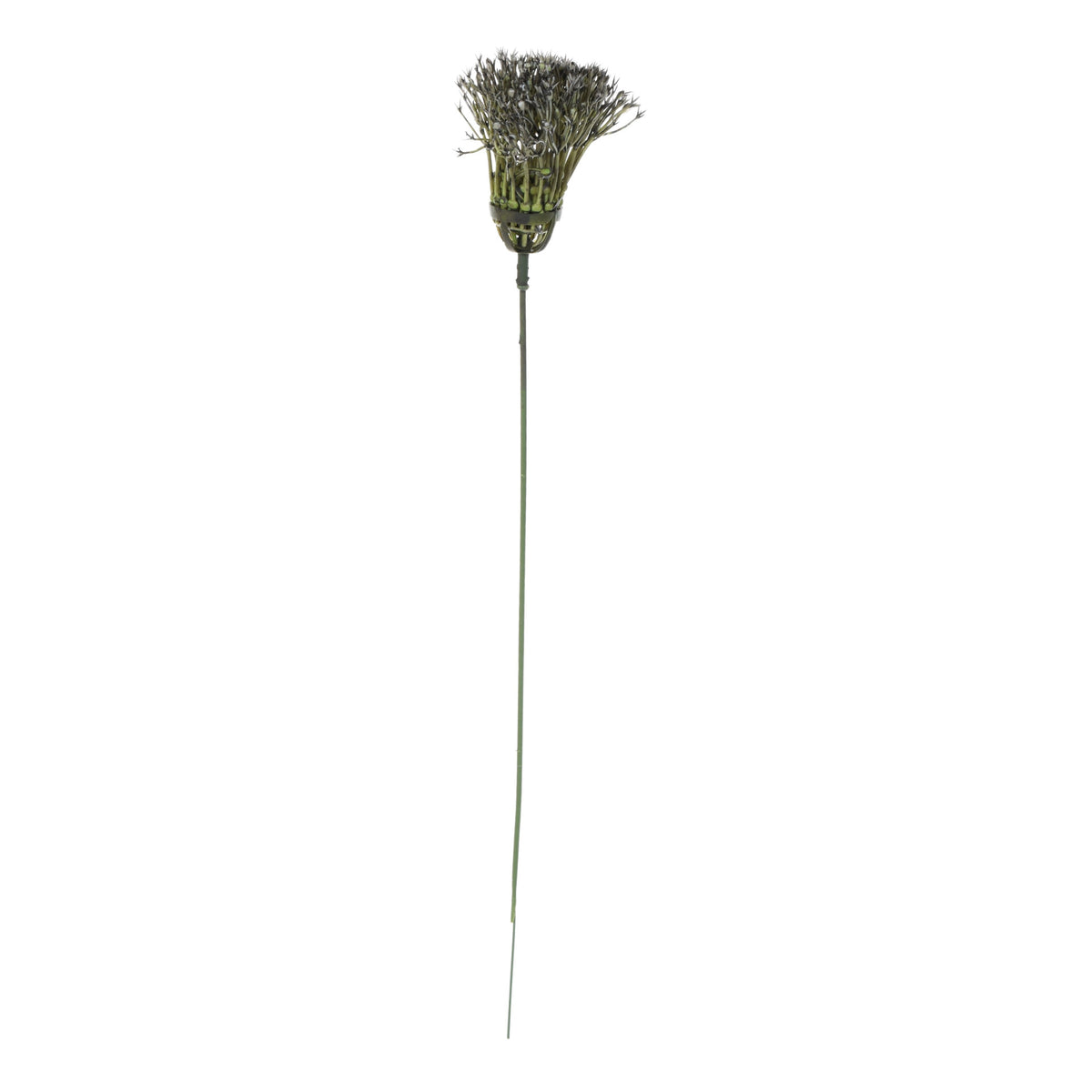 Koristeoksa, 37 cm