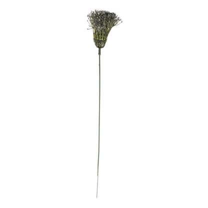 Koristeoksa, 37 cm