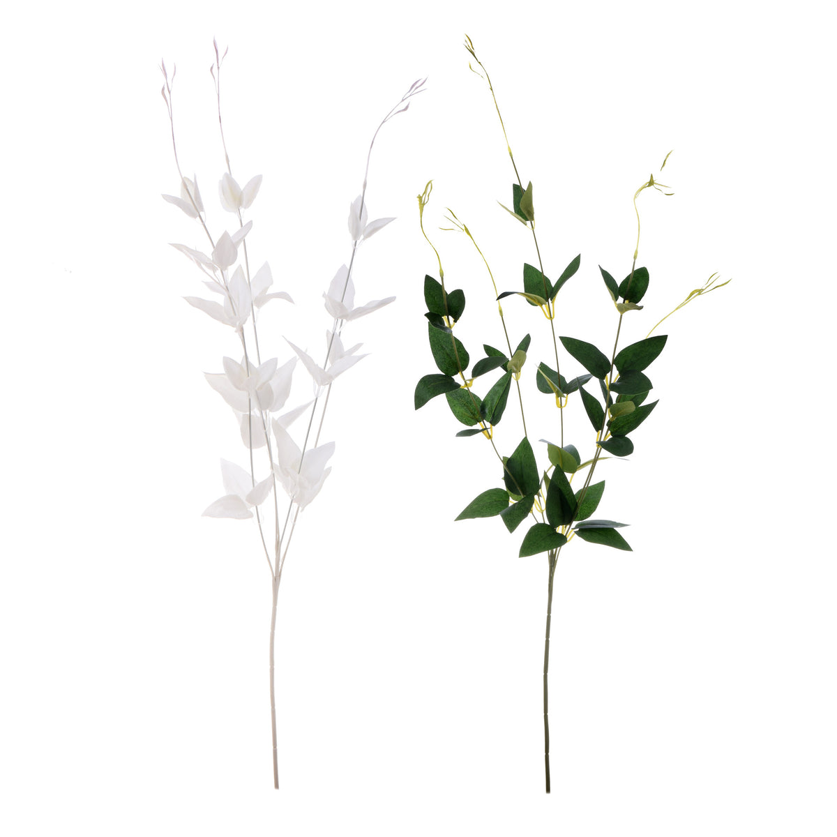 Koristeoksa, 70 cm