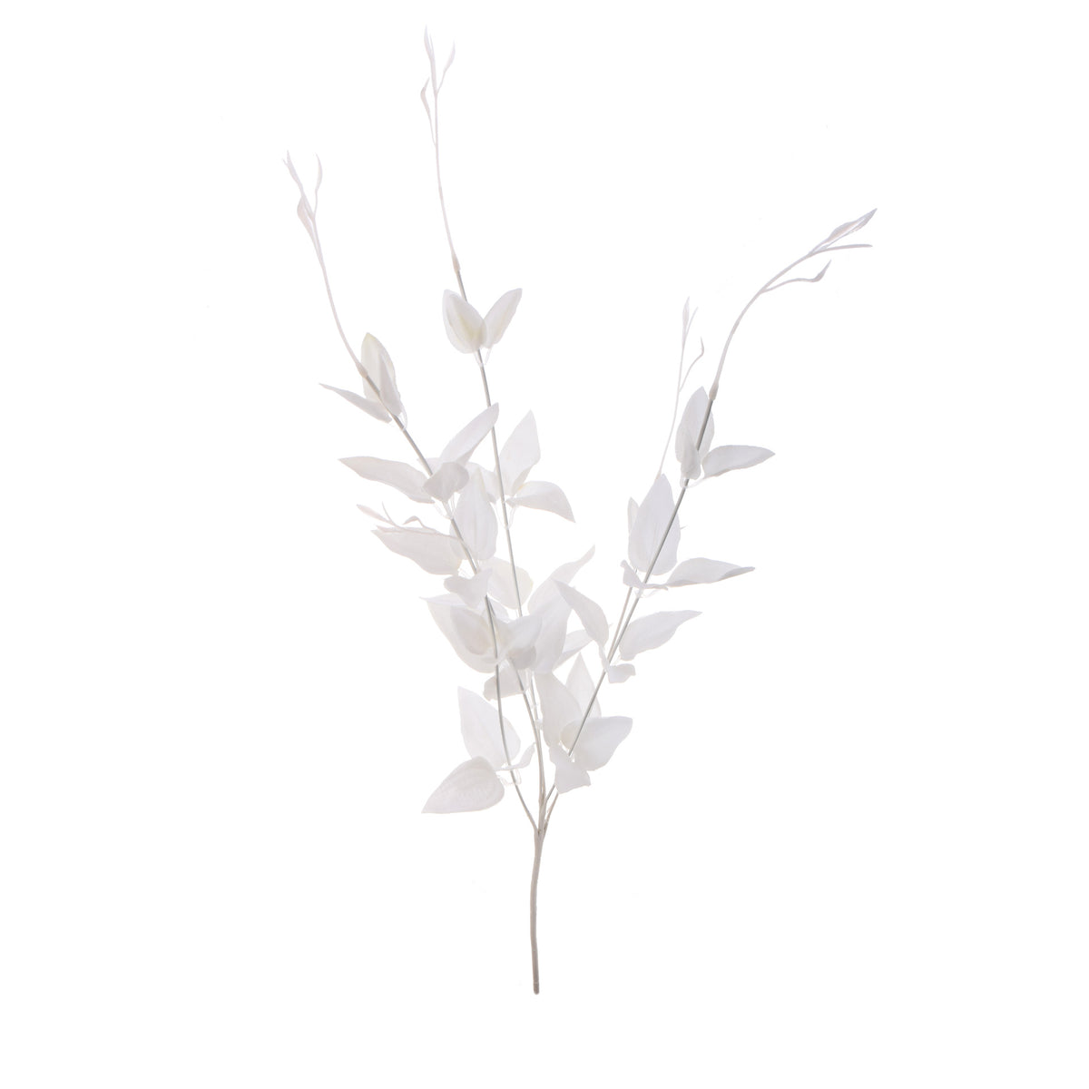 Koristeoksa, 70 cm
