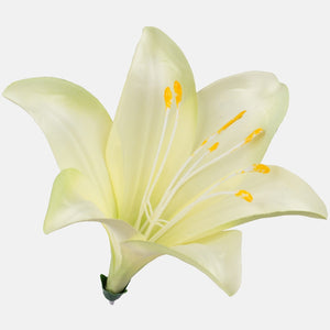 Heleroheline