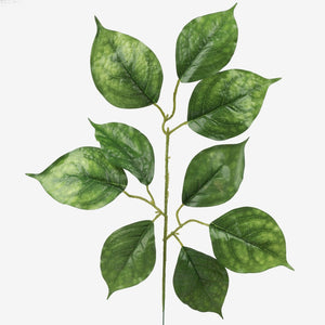 Roheline