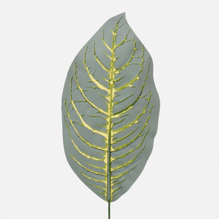 Diefenbachia võltslehtroheline 44 cm - Kunstlilled