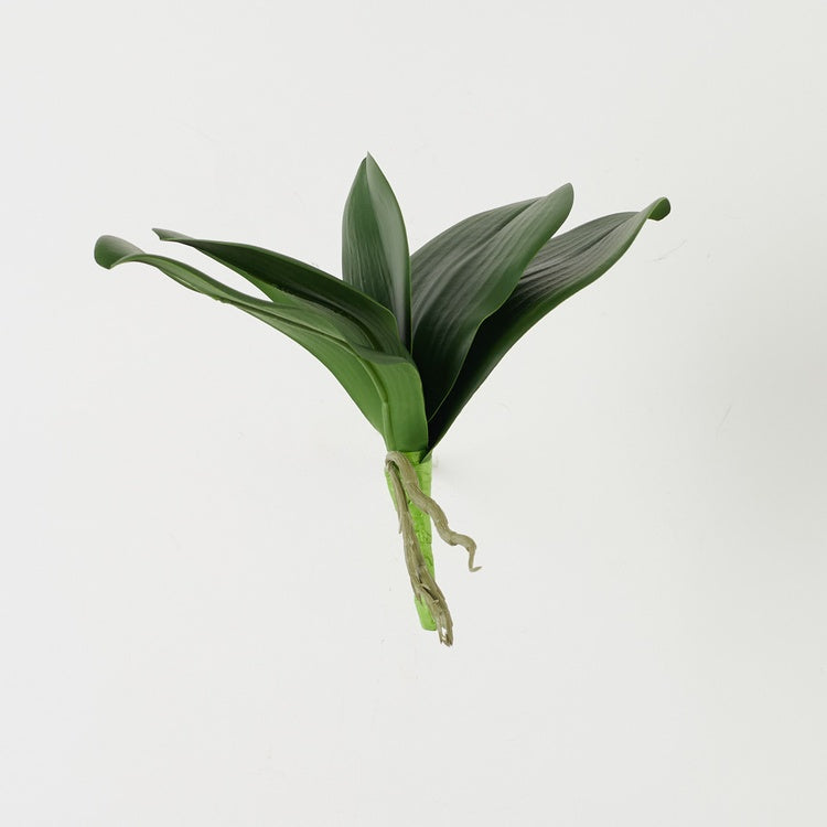 Orhidee leheosa kunsttaim roheline 24 cm - Kunstlilled