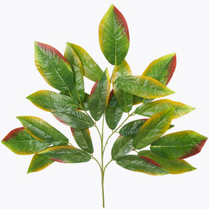 Vihreä-punainen mango – koristeoksa, 77 cm