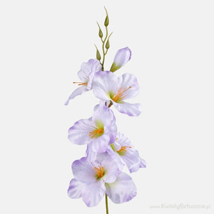 Vaaleanliila