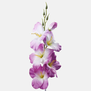 Violetti/Valkoinen