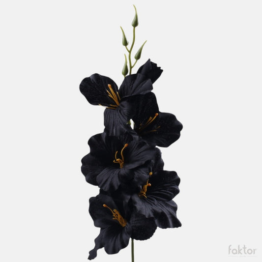 Musta gladiolus tekokukka satiini 55 cm - Tekokukat