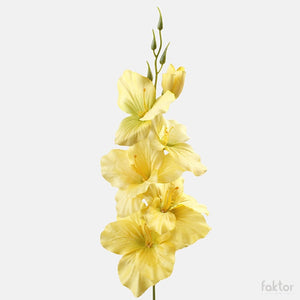 Keltainen
