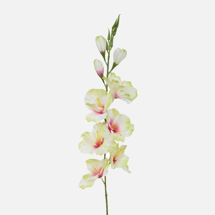 Gladiooli kunstlill heleroheline-kreem 77 cm - Kunstlilled