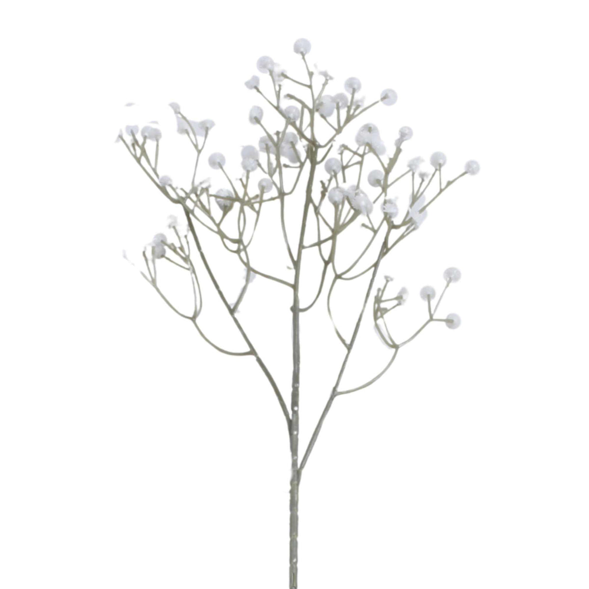 Morsiusharso – koristeoksa, 60 cm