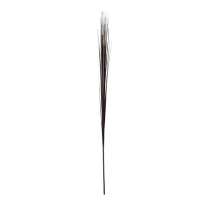 Musta koristeheinä – koristeheinä, 75 cm