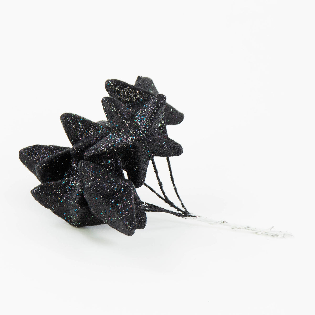 Musta kukkalanka, 4 cm