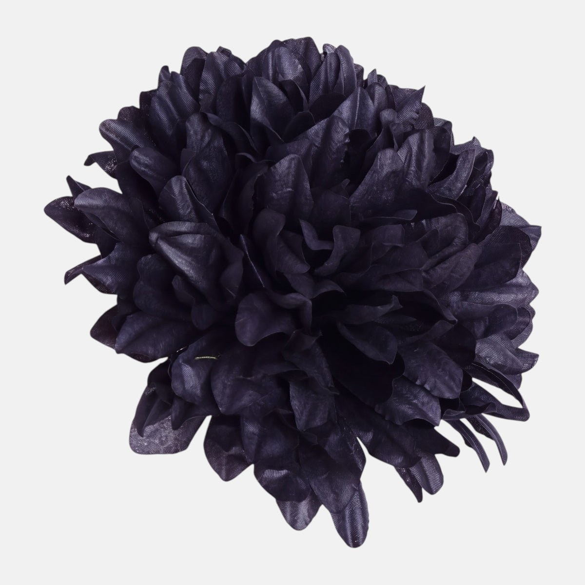 Musta tekokrysanteemin kukkapää, 15 cm