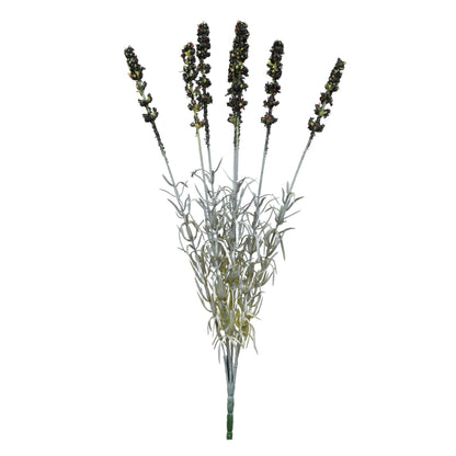 Musta tekolaventelin kimppu, 42 cm