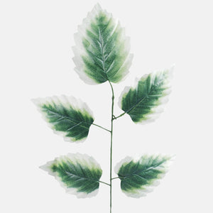 Roheline