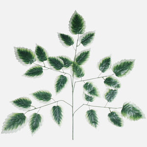 Roheline