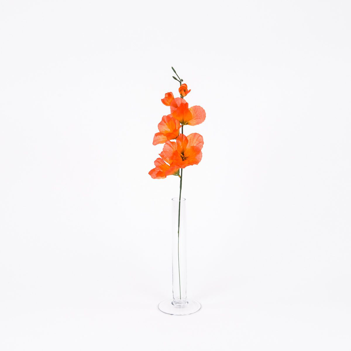 Oranssi gladiolus – tekokukka, 12 kpl