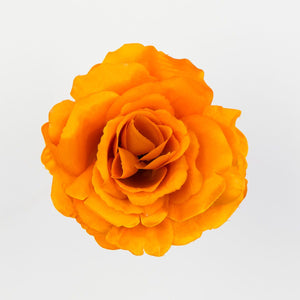 Oranssi