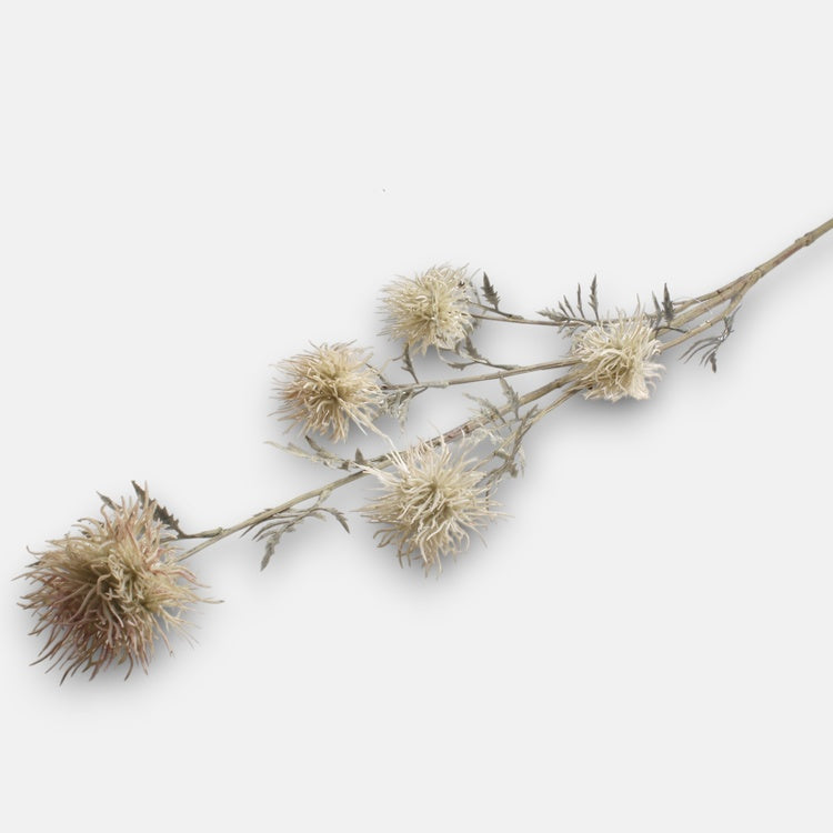 Kreemivärviline Xanthium kunstlilleoks 85 cm - Kunstlilled