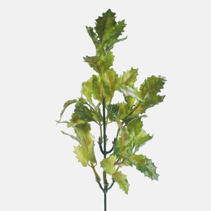 Heleroheline