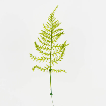 Parsa – koristeoksa