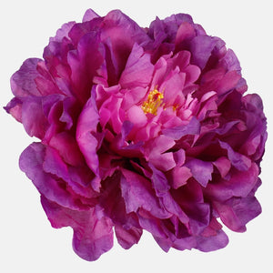 Lilla