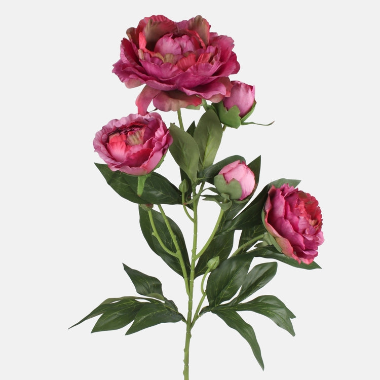 Malva värvi kunstpojengi oks 67 cm - Kunstlilled