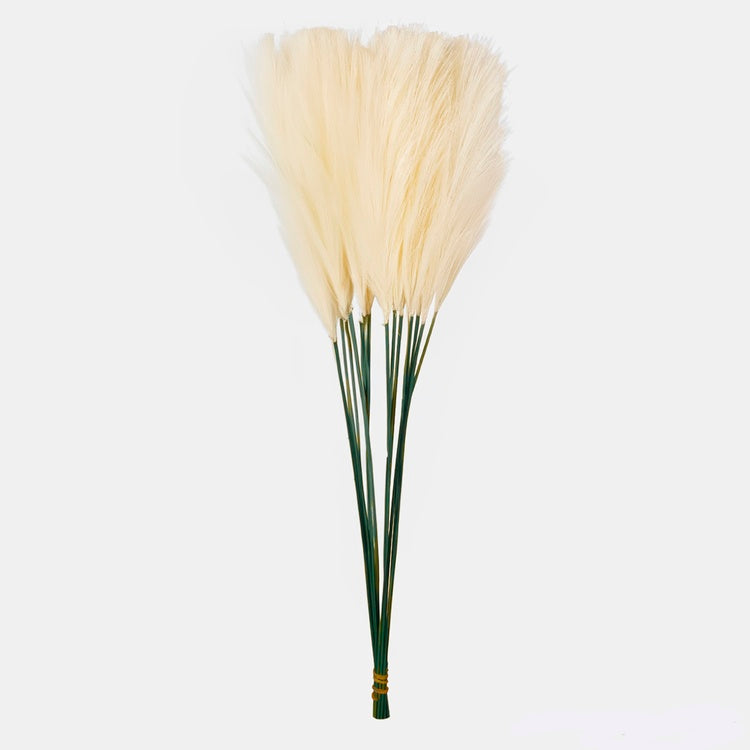 Kreemivärvi pampade dekoratiivoks 47 cm - Kunstlilled