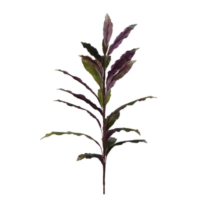 Punainen/musta traakkipuu – ruukkutekokasvi, 90 cm