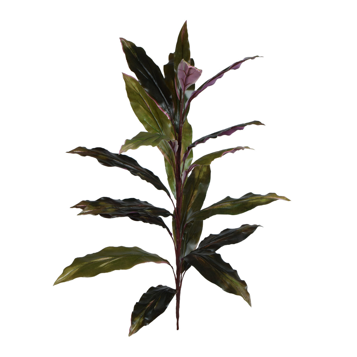 Punainen/musta traakkipuu – ruukkutekokasvi, 90 cm