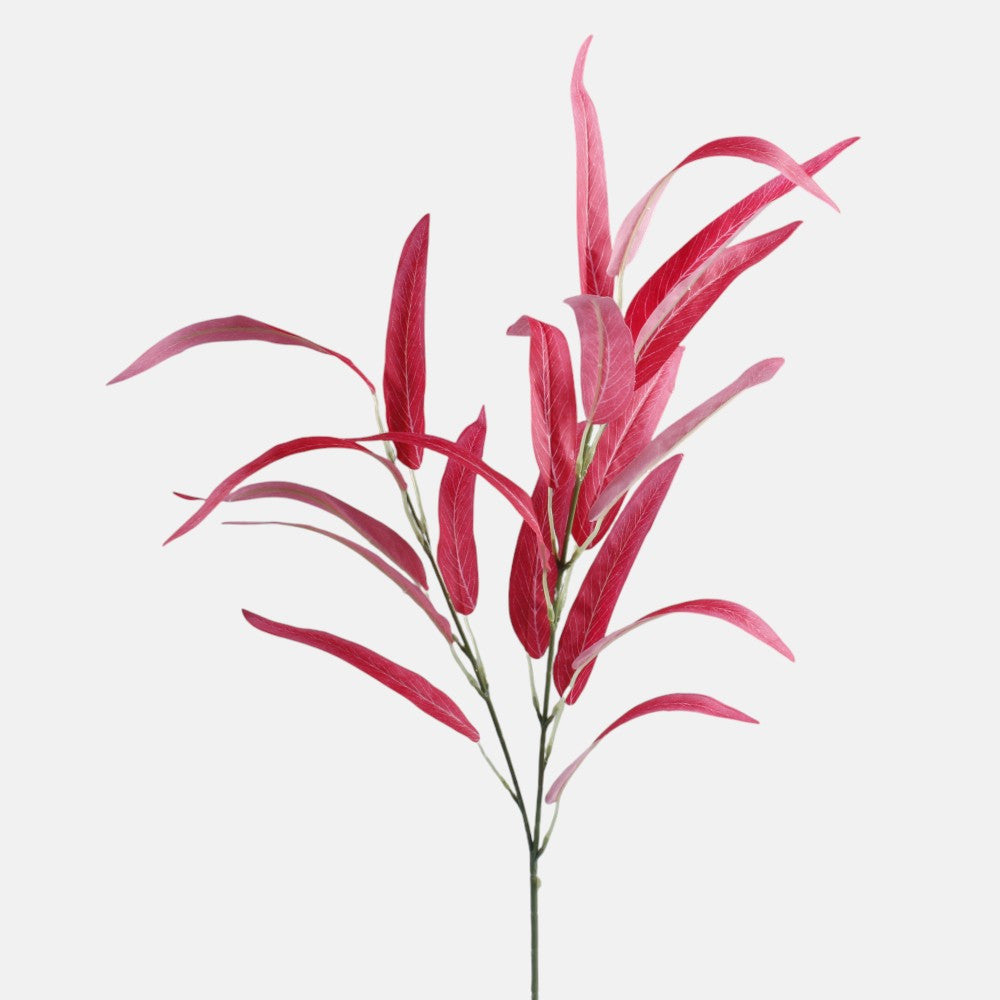 Punainen paju – koristeoksa, 80 cm