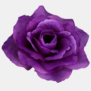 Violetti