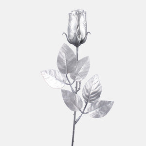 Hopea