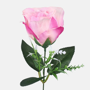 Roosa
