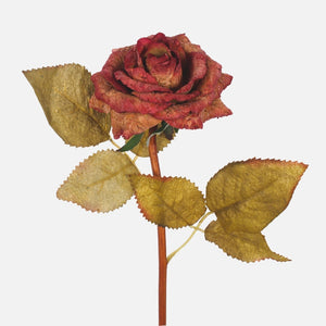 Roosa